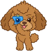 Luca the poodle holding a small blue camera
