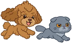 Luca the poodle and Mino the grey cat running side by side