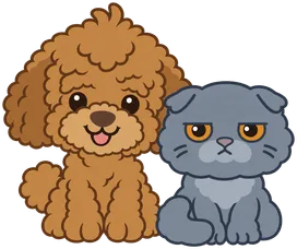 Luca the poodle and Mino the grey cat sitting side by side