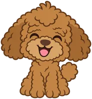 Luca the poodle smiling