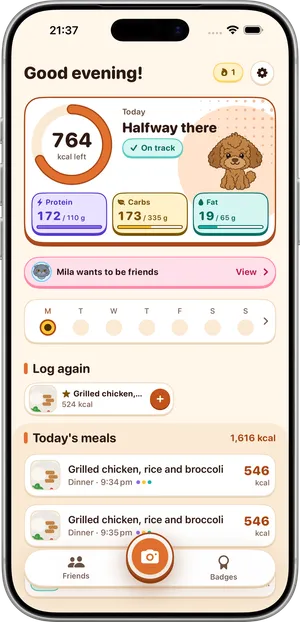 Luca's Today screen on iPhone: a ring with calories left and the words Halfway there, boxes for protein, carbs and fat against their targets, a Log again row and today's meals
